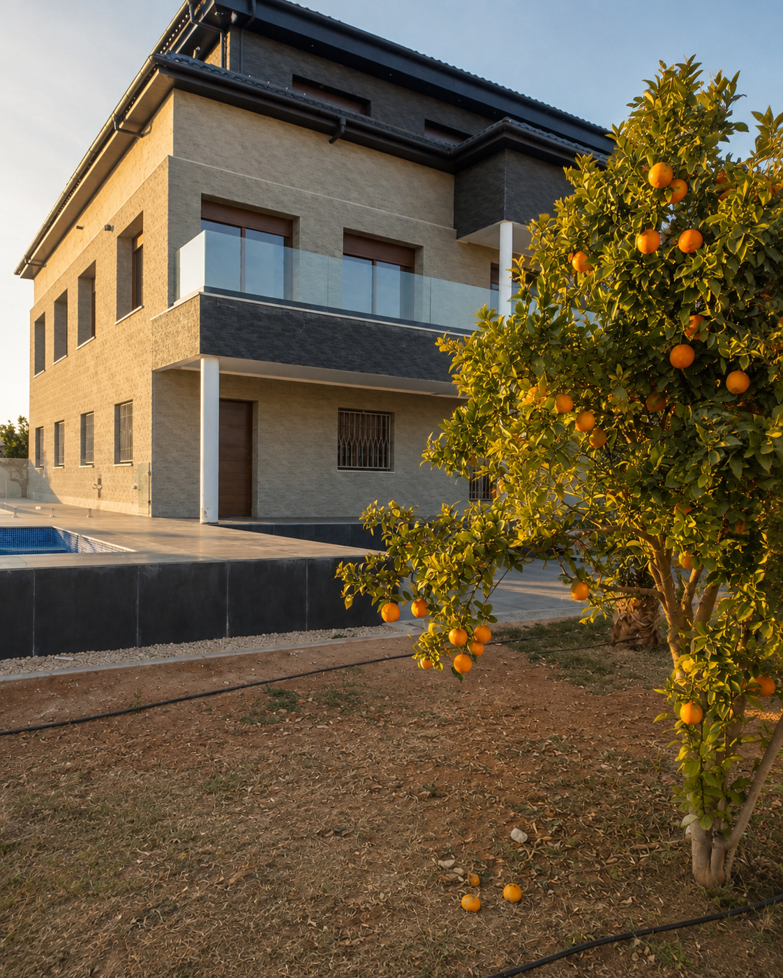 Oranger chargé de fruits devant Villa Tazitunt